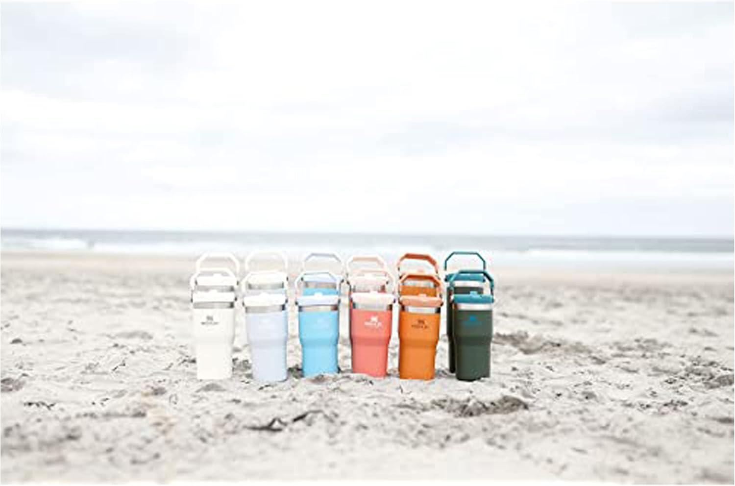 imageSTANLEY IceFlow 20 Flip Straw Tumbler with Handle 30 oz Twist On Lid and Flip Up Straw Leak Resistant Water Bottle Insulated Stainless Steel BPAFree Exclusive Toasted AlmondCloud