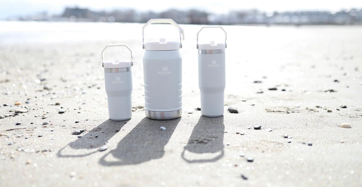 imageSTANLEY IceFlow 20 Flip Straw Tumbler with Handle 30 oz Twist On Lid and Flip Up Straw Leak Resistant Water Bottle Insulated Stainless Steel BPAFree Exclusive Toasted AlmondCloud