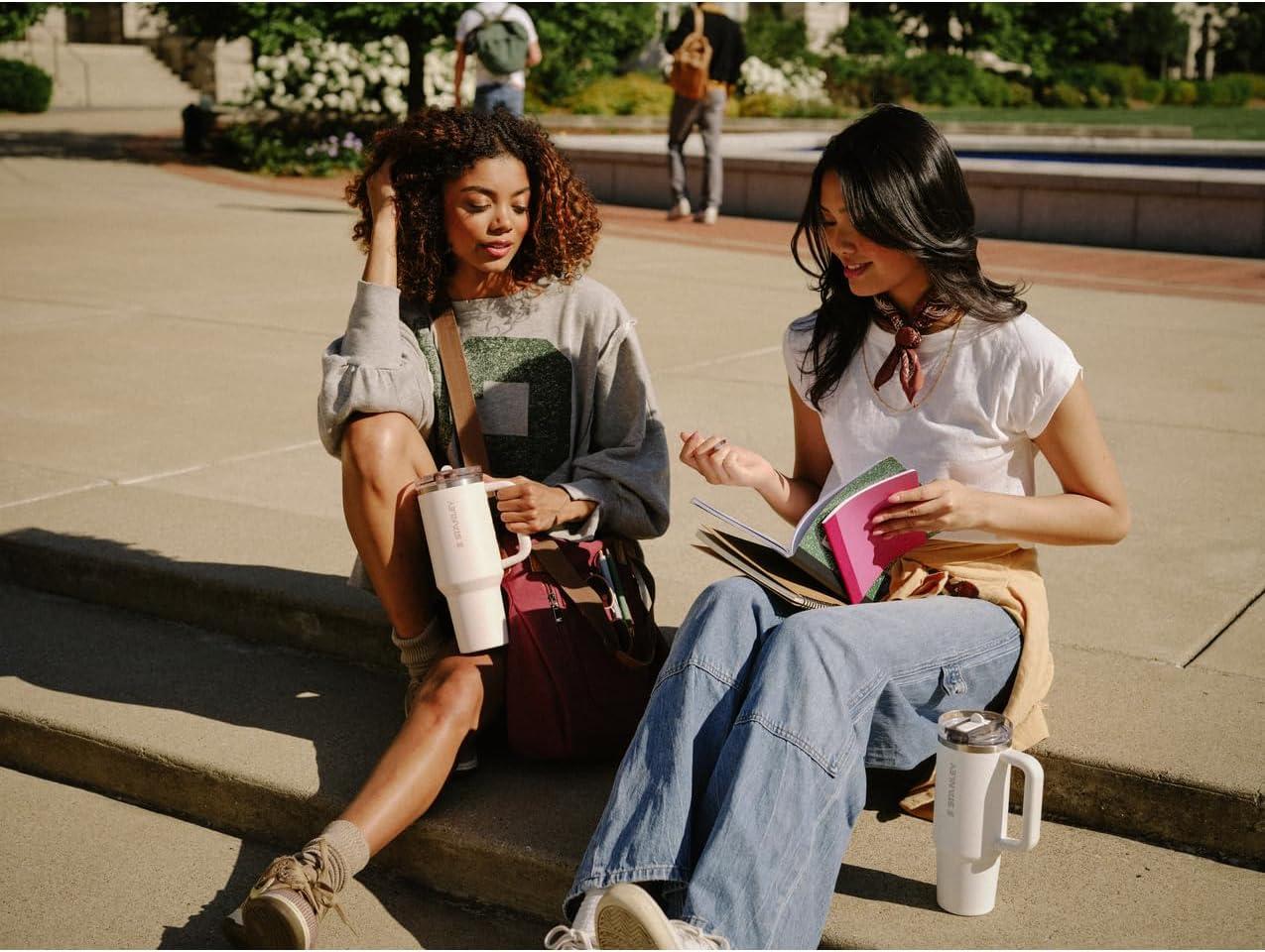 imageSTANLEY Quencher ProTour Flip Straw Tumbler with Leakproof Lid BuiltIn Straw amp Handle Cupholder Compatible for Travel Insulated Stainless Steel Cup BPAFreeFrost Fade