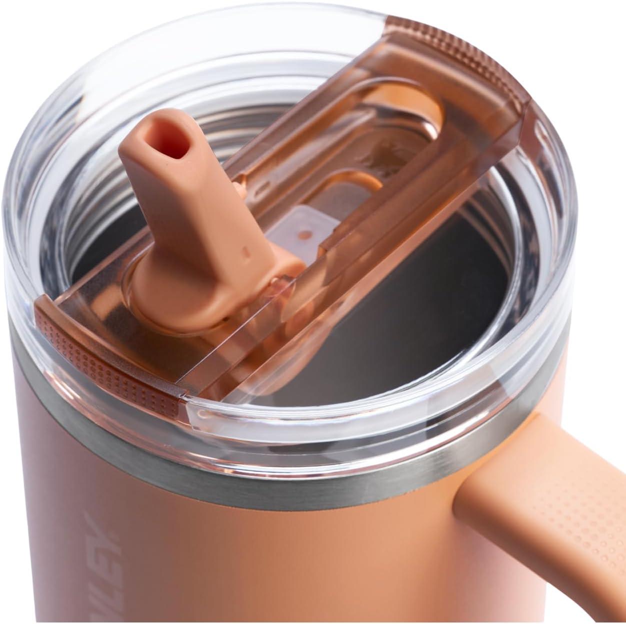imageSTANLEY Quencher ProTour Flip Straw Tumbler with Leakproof Lid BuiltIn Straw amp Handle Cupholder Compatible for Travel Insulated Stainless Steel Cup BPAFreeOasis Apricot