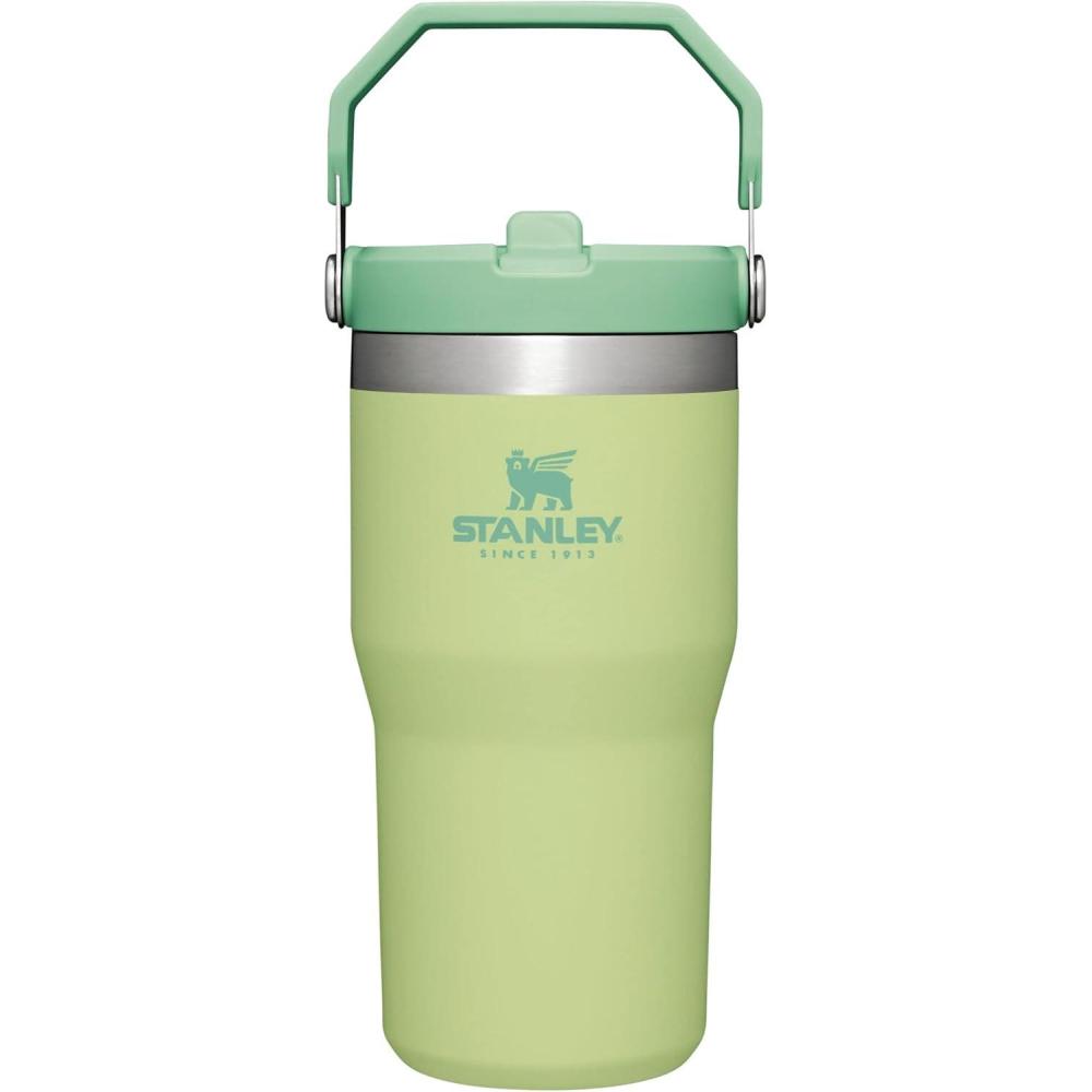 imageSTANLEY IceFlow 20 Flip Straw Tumbler with Handle 30 oz  Twist On Lid and Flip Up Straw  Leak Resistant Water Bottle  Insulated Stainless Steel  BPAFree  Exclusive Toasted AlmondCitron