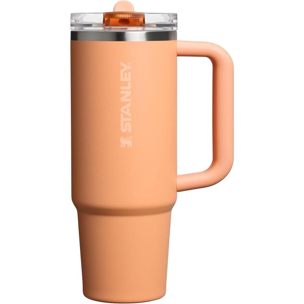 imageSTANLEY Quencher ProTour Flip Straw Tumbler with Leakproof Lid BuiltIn Straw amp Handle Cupholder Compatible for Travel Insulated Stainless Steel Cup BPAFreeOasis Apricot