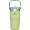 STANLEY IceFlow 2.0 Flip Straw Tumbler with Handle 30 oz | Twist On Lid and Flip Up Straw | Leak Resistant Water Bottle | Insulated Stainless Steel | BPA-Free | Exclusive Toasted Almond(Citron)