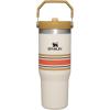 STANLEY IceFlow 2.0 Flip Straw Tumbler with Handle 30 oz | Twist On Lid and Flip Up Straw | Leak Resistant Water Bottle | Insulated Stainless Steel | BPA-Free | Exclusive Toasted Almond(Cream Mesh)