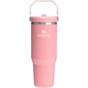 STANLEY IceFlow 2.0 Flip Straw Tumbler with Handle 30 oz | Twist On Lid and Flip Up Straw | Leak Resistant Water Bottle | Insulated Stainless Steel | BPA-Free | Exclusive Toasted Almond(Pink Mesa)