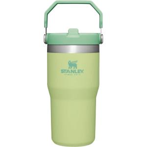 STANLEY IceFlow 2.0 Flip Straw Tumbler with Handle 30 oz | Twist On Lid and Flip Up Straw | Leak Resistant Water Bottle | Insulated Stainless Steel | BPA-Free | Exclusive Toasted Almond(Citron)