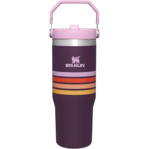 STANLEY IceFlow 2.0 Flip Straw Tumbler with Handle 30 oz | Twist On Lid and Flip Up Straw | Leak Resistant Water Bottle | Insulated Stainless Steel | BPA-Free | Exclusive Toasted Almond(Plum Stripe)