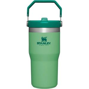 STANLEY IceFlow 2.0 Flip Straw Tumbler with Handle 30 oz | Twist On Lid and Flip Up Straw | Leak Resistant Water Bottle | Insulated Stainless Steel | BPA-Free | Exclusive Toasted Almond(Jade)