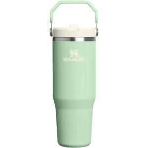 STANLEY IceFlow 2.0 Flip Straw Tumbler with Handle 30 oz | Twist On Lid and Flip Up Straw | Leak Resistant Water Bottle | Insulated Stainless Steel | BPA-Free | Exclusive Toasted Almond(Pistachio)
