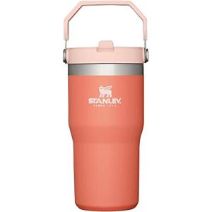 STANLEY IceFlow 2.0 Flip Straw Tumbler with Handle 30 oz | Twist On Lid and Flip Up Straw | Leak Resistant Water Bottle | Insulated Stainless Steel | BPA-Free | Exclusive Toasted Almond(Grapefruit)