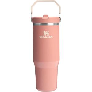 STANLEY IceFlow 2.0 Flip Straw Tumbler with Handle 30 oz | Twist On Lid and Flip Up Straw | Leak Resistant Water Bottle | Insulated Stainless Steel | BPA-Free | Exclusive Toasted Almond(Exclusive Sienna)