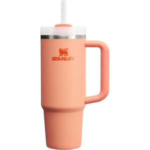 STANLEY Quencher H2.0 Tumbler with Handle and Straw 30 oz | Flowstate 3-Position Lid | Cup Holder Compatible for Travel | Insulated Stainless Steel Cup | BPA-Free | Exclusive Toasted Almond(Nectarine)