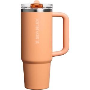 STANLEY Quencher ProTour Flip Straw Tumbler with Leakproof Lid | Built-In Straw & Handle | Cupholder Compatible for Travel | Insulated Stainless Steel Cup | BPA-Free(Oasis Apricot)