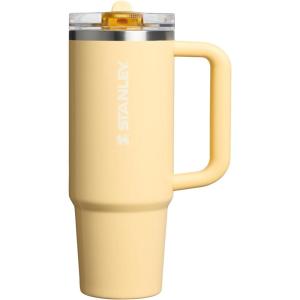 STANLEY Quencher ProTour Flip Straw Tumbler with Leakproof Lid | Built-In Straw & Handle | Cupholder Compatible for Travel | Insulated Stainless Steel Cup | BPA-Free(Oasis Butter Gloss)