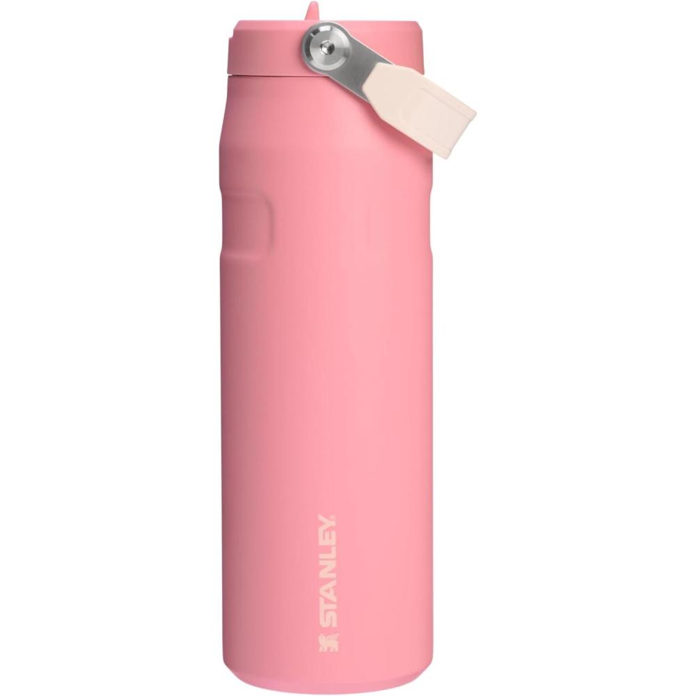 imageStanley IceFlow Flip Straw 20 Water Bottle 24 oz  BuiltIn Straw for Travel and Sports  Lightweight and Leak Resistant  Insulated Stainless Steel  BPAFree  SiennaPink Mesa