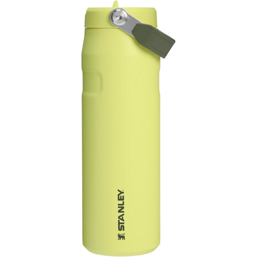 imageStanley IceFlow Flip Straw 20 Water Bottle 24 oz  BuiltIn Straw for Travel and Sports  Lightweight and Leak Resistant  Insulated Stainless Steel  BPAFree  SiennaPrickly Pear