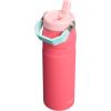 Stanley IceFlow Flip Straw 2.0 Water Bottle 24 oz | Built-In Straw for Travel and Sports | Lightweight and Leak Resistant | Insulated Stainless Steel | BPA-Free | Sienna(Watermelon)