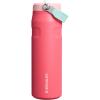 Stanley IceFlow Flip Straw 2.0 Water Bottle 24 oz | Built-In Straw for Travel and Sports | Lightweight and Leak Resistant | Insulated Stainless Steel | BPA-Free | Sienna(Watermelon)