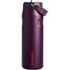 Stanley IceFlow Flip Straw 2.0 Water Bottle 24 oz | Built-In Straw for Travel and Sports | Lightweight and Leak Resistant | Insulated Stainless Steel | BPA-Free | Sienna(Plum)