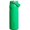 Stanley IceFlow Flip Straw 2.0 Water Bottle 24 oz | Built-In Straw for Travel and Sports | Lightweight and Leak Resistant | Insulated Stainless Steel | BPA-Free | Sienna(Meadow)