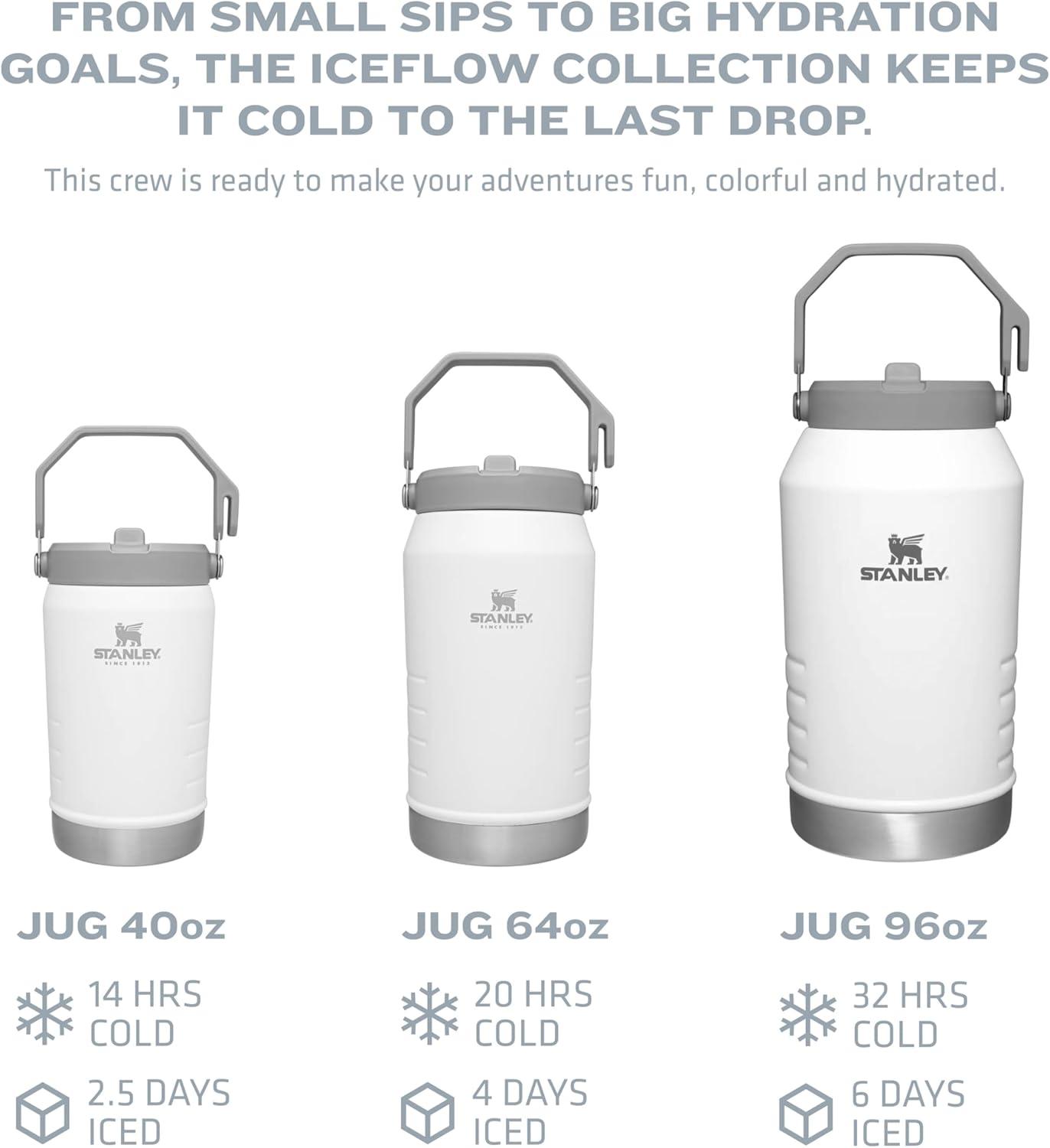 imageSTANLEY IceFlow 20 Flip Straw Jug with Handle 40 oz Twist On Lid and Flip Up Straw Leakproof for Travel and Sports Insulated Stainless Steel BPAFree Black 20Polar