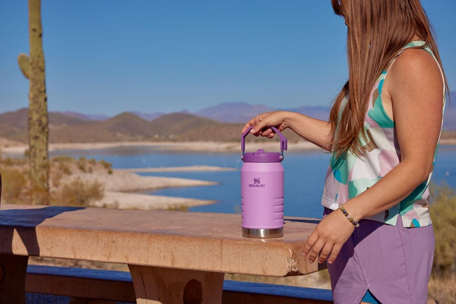 imageSTANLEY IceFlow 20 Flip Straw Jug with Handle 40 oz Twist On Lid and Flip Up Straw Leakproof for Travel and Sports Insulated Stainless Steel BPAFree Black 20Lilac