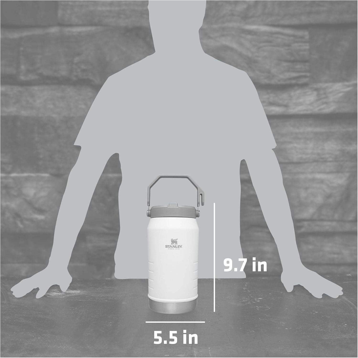 imageSTANLEY IceFlow 20 Flip Straw Jug with Handle 40 oz Twist On Lid and Flip Up Straw Leakproof for Travel and Sports Insulated Stainless Steel BPAFree Black 20Polar