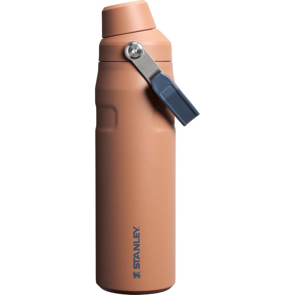 imageStanley IceFlow Fast Flow Water Bottle  Angled Spout Lid  Lightweight amp Leakproof for Travel amp Sports  Insulated Stainless Steel  BPAFreeToast VRT