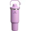 Stanley IceFlow 2.0 Fast Flow Tumbler with Handle 40 oz | Twist On Angled Spout Lid | Leakproof Water Bottle | Insulated Stainless Steel | BPA-Free | Black 2.0(Lilac)