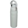 Stanley IceFlow Fast Flow Water Bottle | Angled Spout Lid | Lightweight & Leakproof for Travel & Sports | Insulated Stainless Steel | BPA-Free(Fog Glimmer)