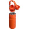 Stanley IceFlow Fast Flow Water Bottle | Angled Spout Lid | Lightweight & Leakproof for Travel & Sports | Insulated Stainless Steel | BPA-Free(Tigerlily Plum)