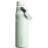Stanley IceFlow Fast Flow Water Bottle | Angled Spout Lid | Lightweight & Leakproof for Travel & Sports | Insulated Stainless Steel | BPA-Free(Mist)