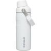Stanley IceFlow Fast Flow Water Bottle | Angled Spout Lid | Lightweight & Leakproof for Travel & Sports | Insulated Stainless Steel | BPA-Free(Polar)
