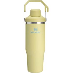 Stanley IceFlow 2.0 Fast Flow Tumbler with Handle 40 oz | Twist On Angled Spout Lid | Leakproof Water Bottle | Insulated Stainless Steel | BPA-Free | Black 2.0(Pomelo)