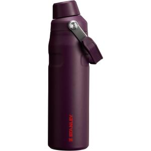 Stanley IceFlow Fast Flow Water Bottle | Angled Spout Lid | Lightweight & Leakproof for Travel & Sports | Insulated Stainless Steel | BPA-Free(Plum)