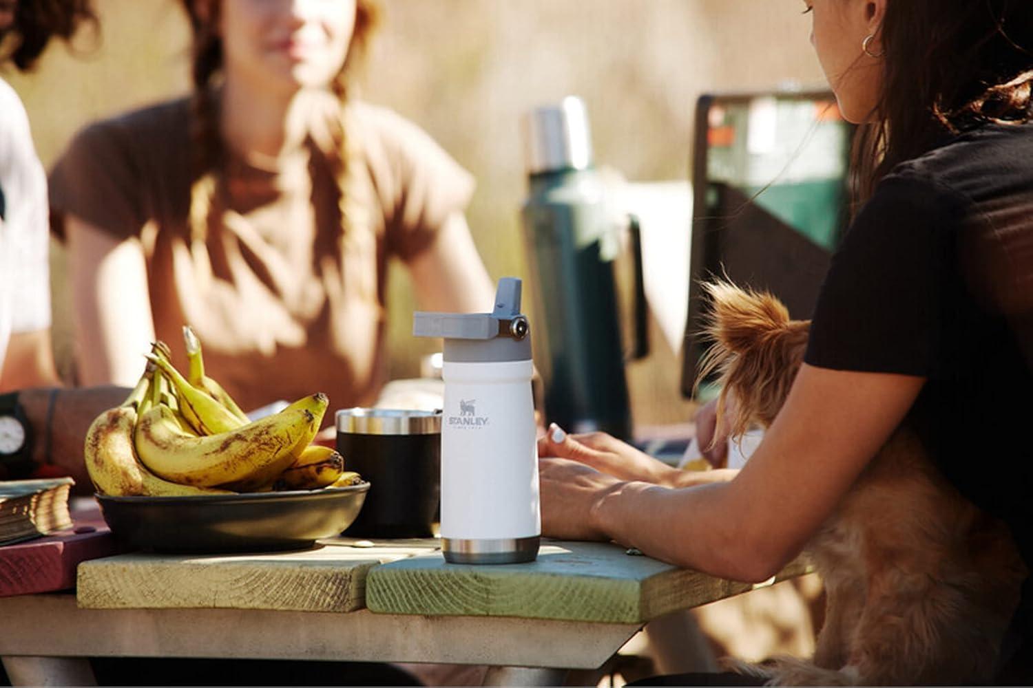 imageSTANLEY IceFlow Flip Straw Water Bottle 22 oz BuiltIn Straw for Travel and Sports Lightweight and Leak Resistant Insulated Stainless Steel BPAFree PolarPolar