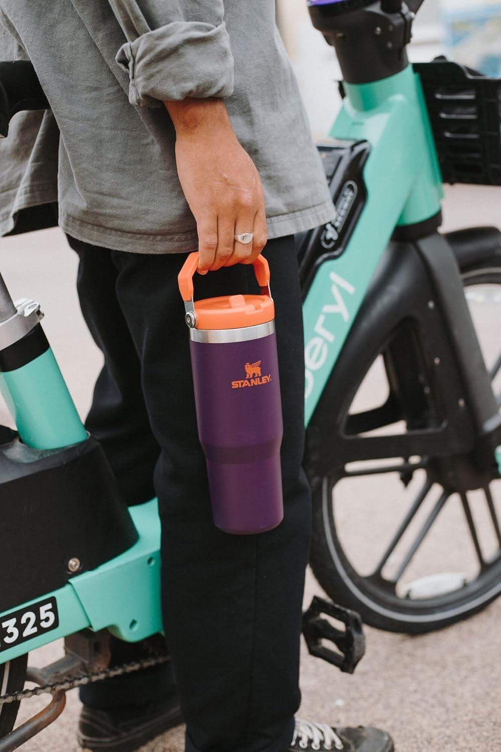 imageStanley IceFlow Flip Straw Tumbler with Handle 20 oz Twist On Lid and Flip Up Straw Leak Resistant Water Bottle Insulated Stainless Steel BPAFree CharcoalDaffodil