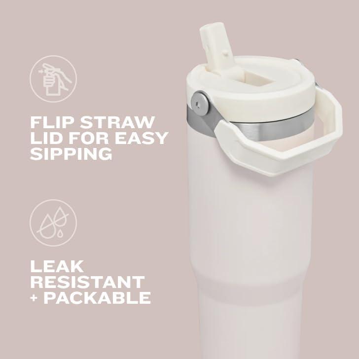 imageStanley IceFlow Flip Straw Tumbler with Handle 20 oz Twist On Lid and Flip Up Straw Leak Resistant Water Bottle Insulated Stainless Steel BPAFree CharcoalPrickly Pear