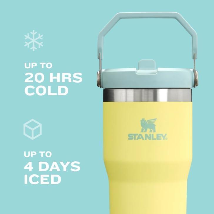 imageStanley IceFlow Flip Straw Tumbler with Handle 20 oz Twist On Lid and Flip Up Straw Leak Resistant Water Bottle Insulated Stainless Steel BPAFree CharcoalPrickly Pear
