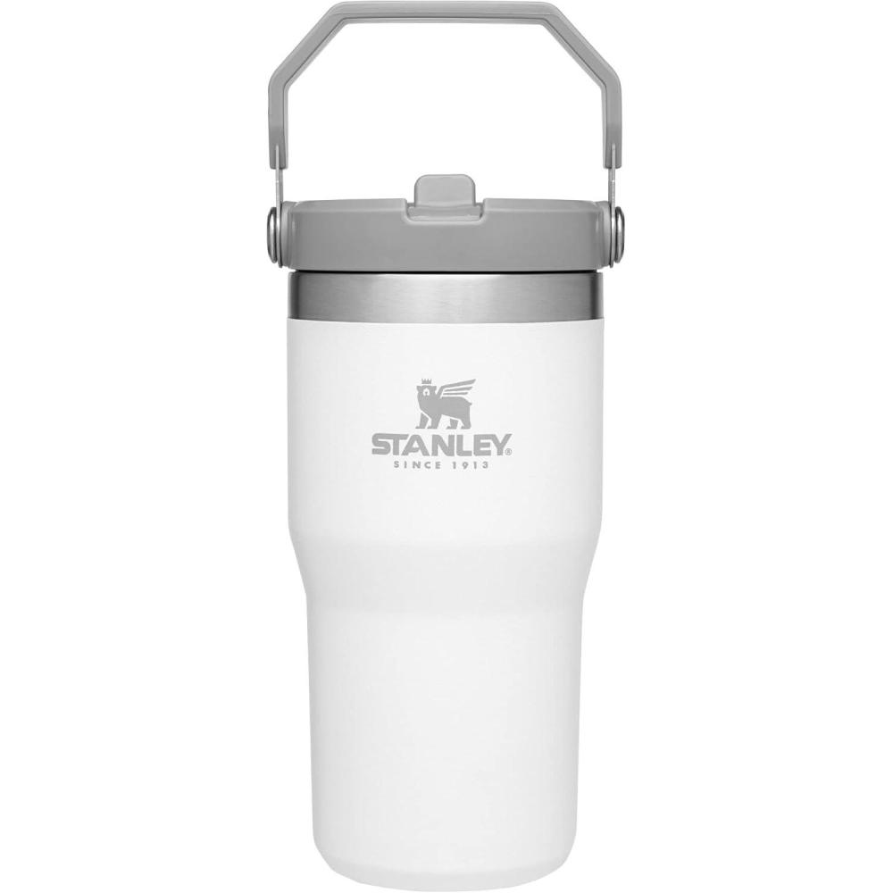imageStanley IceFlow Flip Straw Tumbler with Handle 20 oz  Twist On Lid and Flip Up Straw  Leak Resistant Water Bottle  Insulated Stainless Steel BPAFree  CharcoalPolar