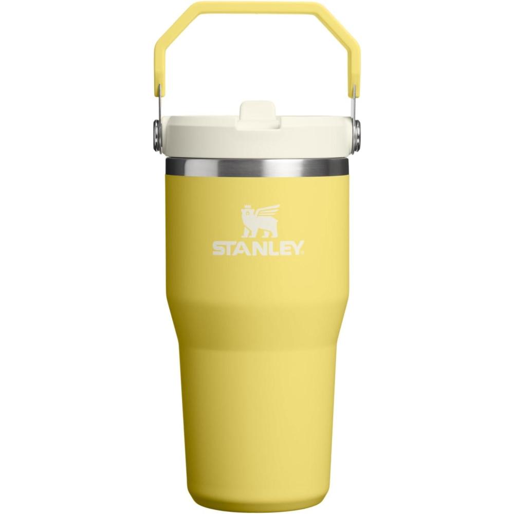 imageStanley IceFlow Flip Straw Tumbler with Handle 20 oz  Twist On Lid and Flip Up Straw  Leak Resistant Water Bottle  Insulated Stainless Steel BPAFree  CharcoalDaffodil