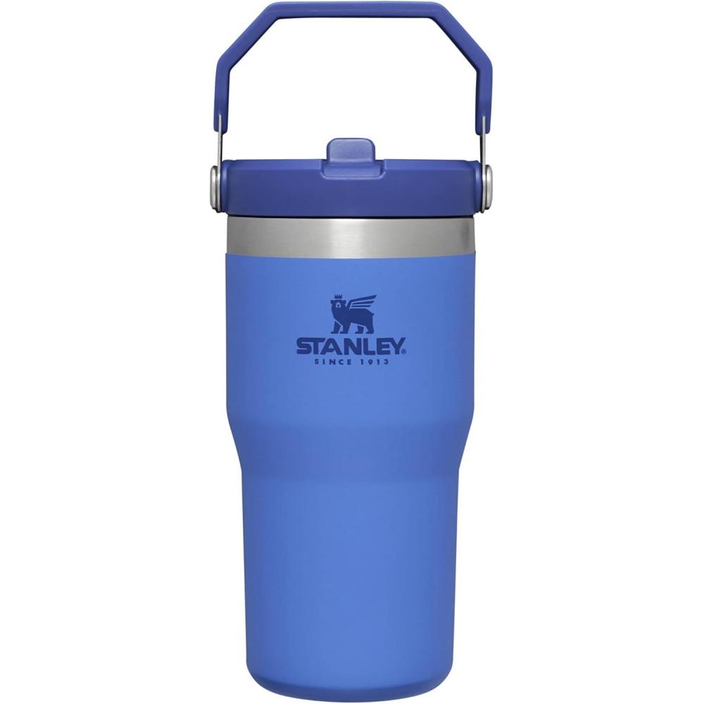 imageStanley IceFlow Flip Straw Tumbler with Handle 20 oz  Twist On Lid and Flip Up Straw  Leak Resistant Water Bottle  Insulated Stainless Steel BPAFree  CharcoalIris