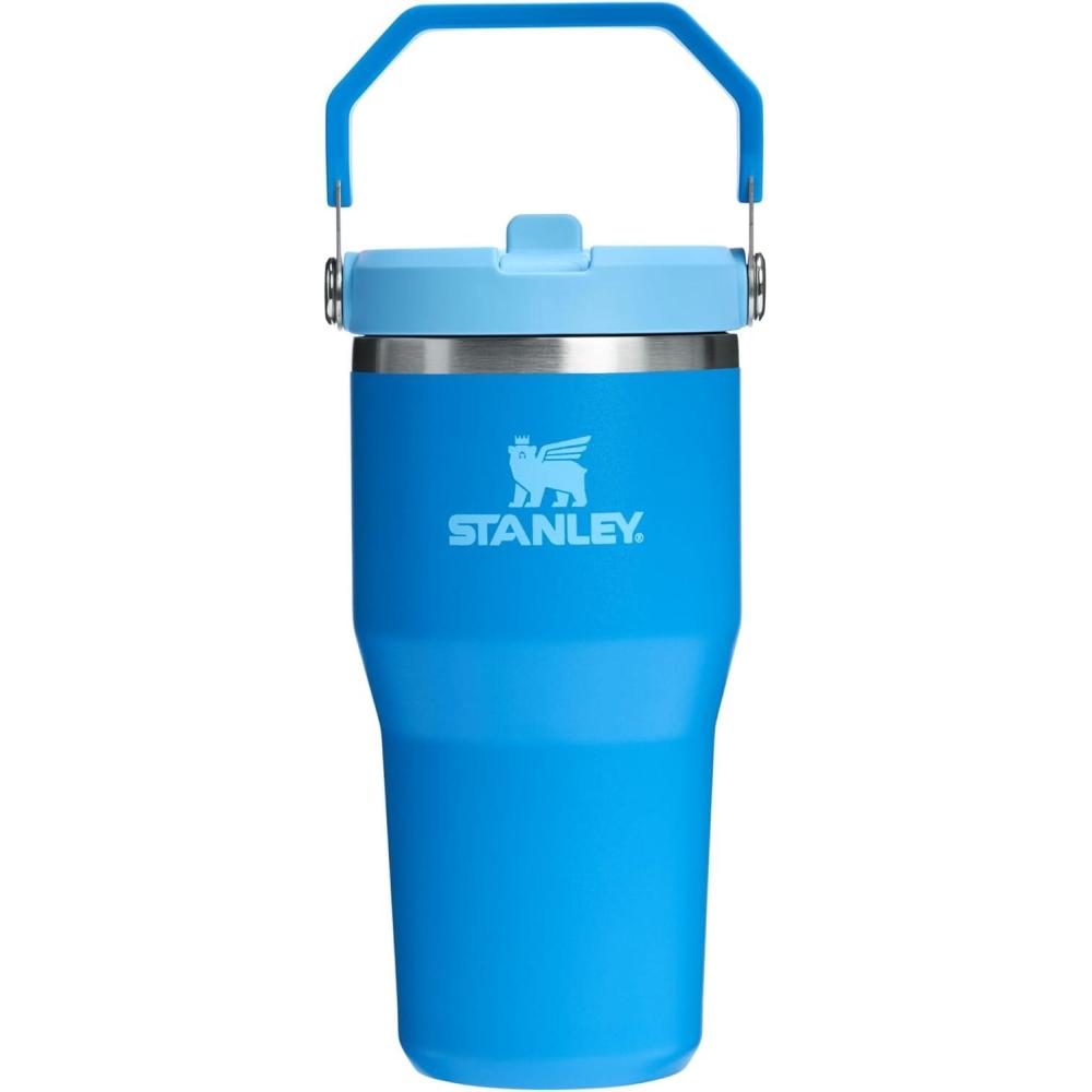 imageStanley IceFlow Flip Straw Tumbler with Handle 20 oz  Twist On Lid and Flip Up Straw  Leak Resistant Water Bottle  Insulated Stainless Steel BPAFree  CharcoalAzure