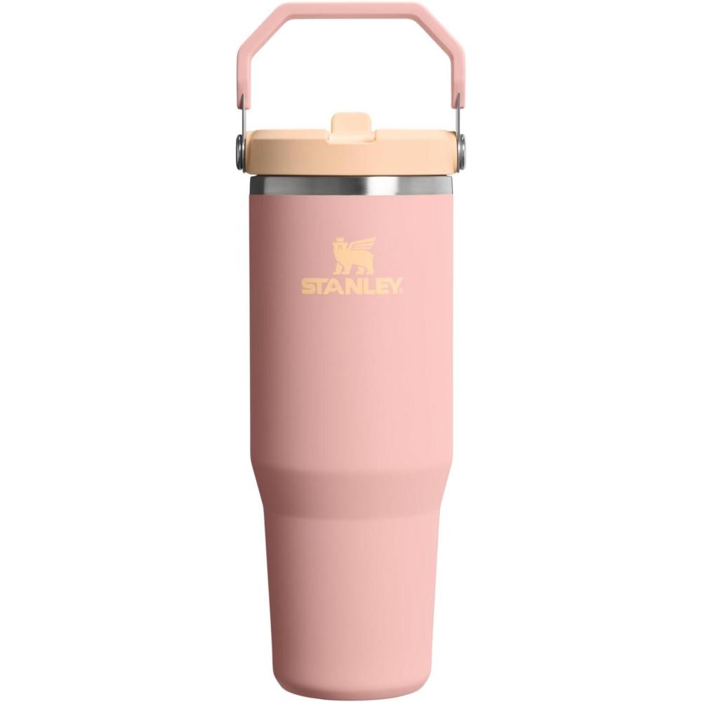 imageStanley IceFlow Flip Straw Tumbler with Handle 20 oz  Twist On Lid and Flip Up Straw  Leak Resistant Water Bottle  Insulated Stainless Steel BPAFree  CharcoalPeach Rose