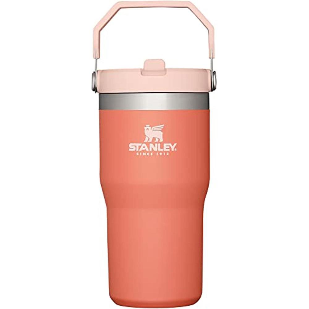 imageStanley IceFlow Flip Straw Tumbler with Handle 20 oz  Twist On Lid and Flip Up Straw  Leak Resistant Water Bottle  Insulated Stainless Steel BPAFree  CharcoalGrapefruit