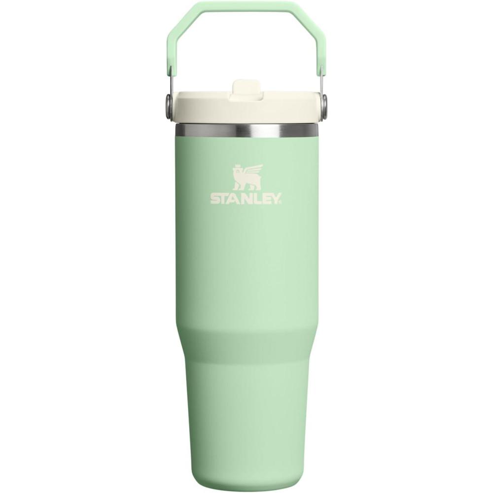 imageStanley IceFlow Flip Straw Tumbler with Handle 20 oz  Twist On Lid and Flip Up Straw  Leak Resistant Water Bottle  Insulated Stainless Steel BPAFree  CharcoalPistachio