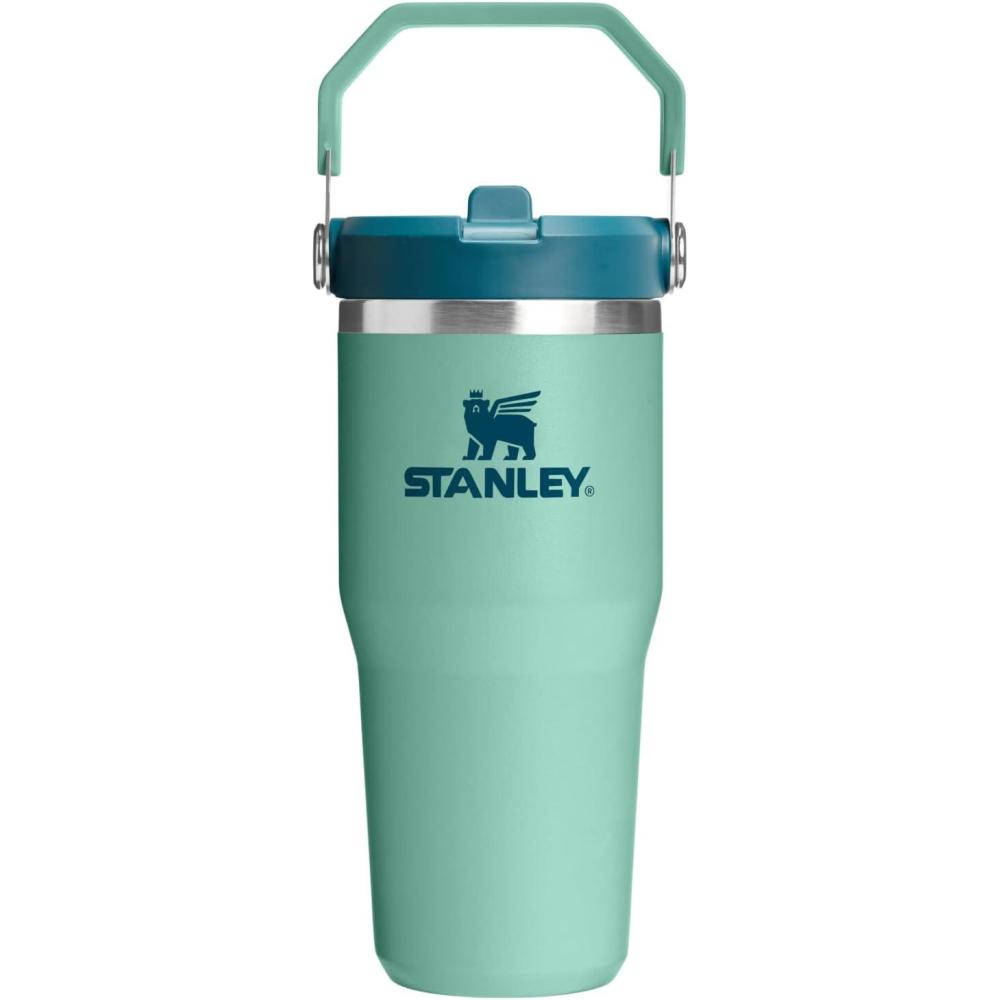 imageStanley IceFlow Flip Straw Tumbler with Handle 20 oz  Twist On Lid and Flip Up Straw  Leak Resistant Water Bottle  Insulated Stainless Steel BPAFree  CharcoalSpring Green