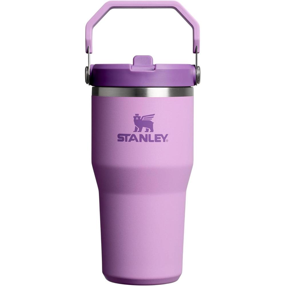 imageStanley IceFlow Flip Straw Tumbler with Handle 20 oz  Twist On Lid and Flip Up Straw  Leak Resistant Water Bottle  Insulated Stainless Steel BPAFree  CharcoalLilac