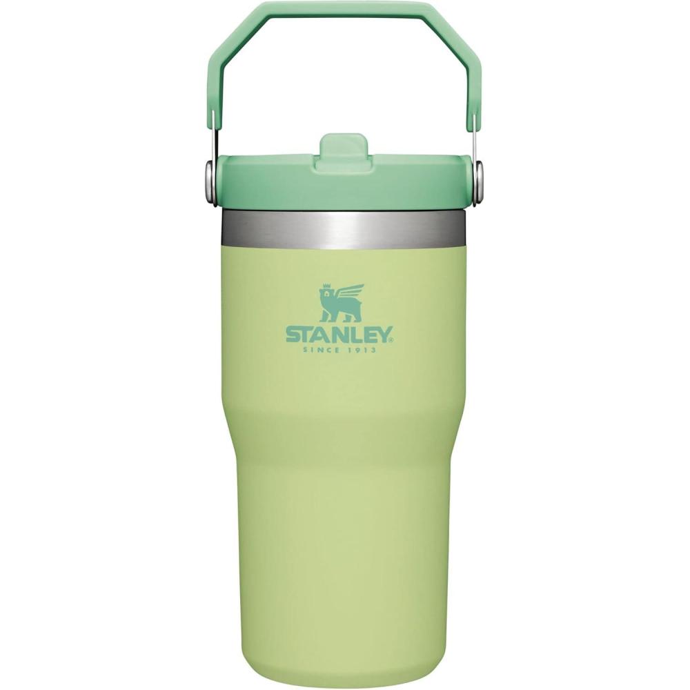 imageStanley IceFlow Flip Straw Tumbler with Handle 20 oz  Twist On Lid and Flip Up Straw  Leak Resistant Water Bottle  Insulated Stainless Steel BPAFree  CharcoalCitron