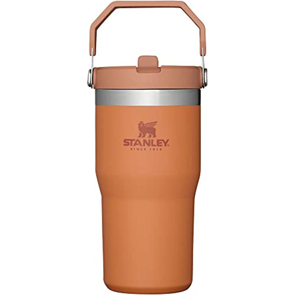 imageStanley IceFlow Flip Straw Tumbler with Handle 20 oz  Twist On Lid and Flip Up Straw  Leak Resistant Water Bottle  Insulated Stainless Steel BPAFree  CharcoalOchre
